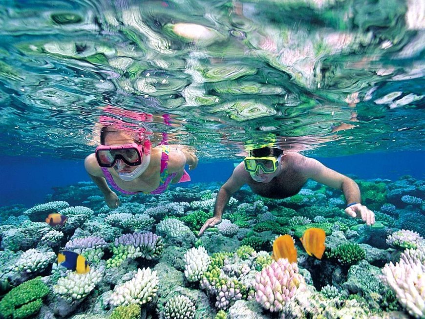 Actividades para Hacer en la Riviera Maya