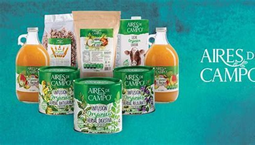 Una empresa Mexicana con Conciencia